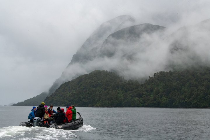 Zodiac Cruise im Fjordland von Neuseeland