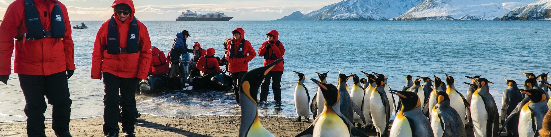 Königspinguine und Menschen auf Südgeorgien