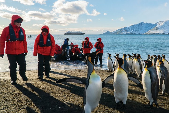 Kaiserpinguine und Menschen auf Südgeorgien