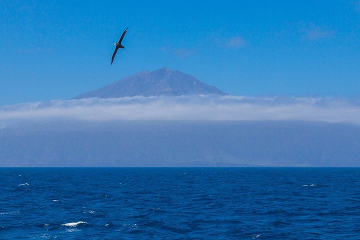 Blick auf den Vulkan von Tristan da Cunha