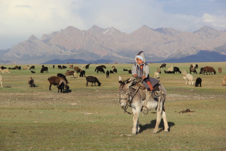 Kirgistan Hirtenjunge auf Esel