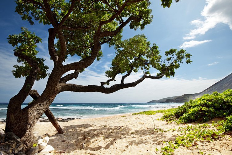 Oahu, Hawaii