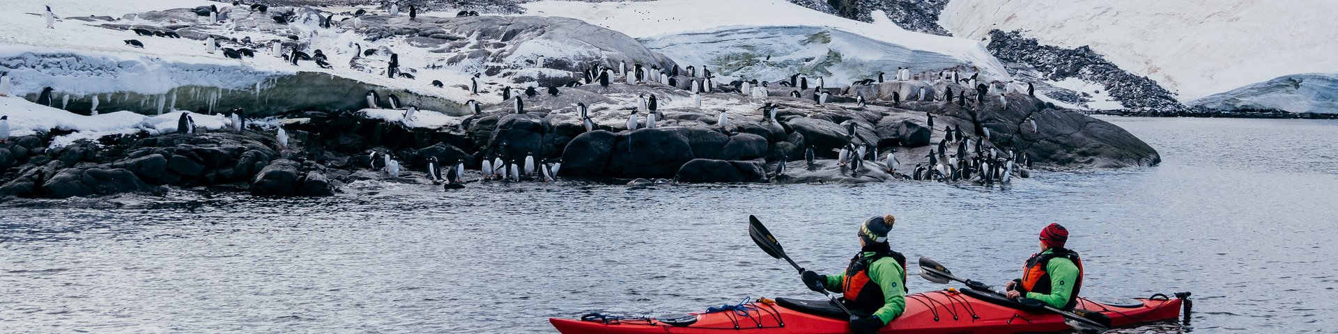 Kajak vor antarktischer Landschaft mit Pinguinen