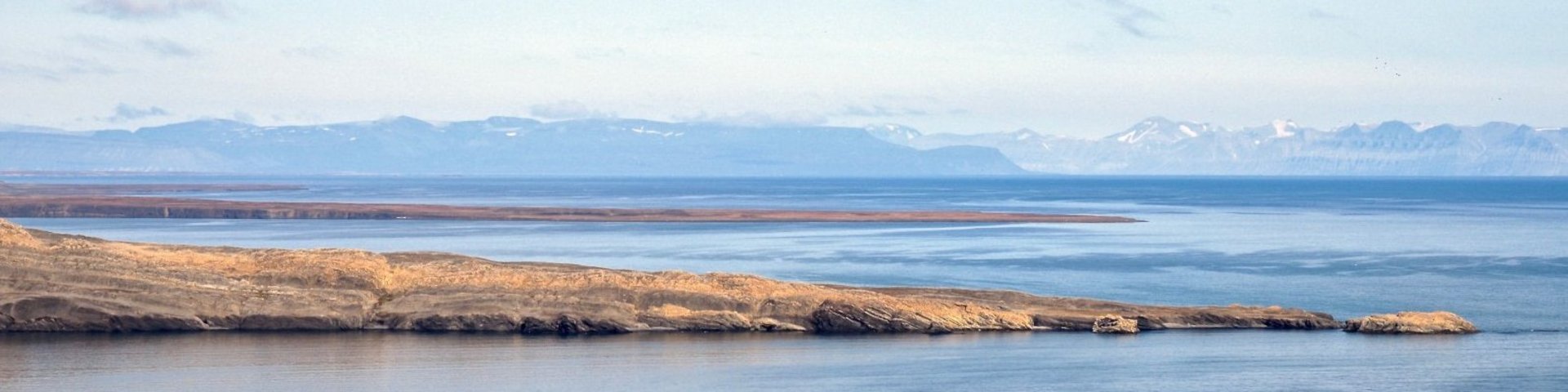 Alkhornet auf Spitzbergen Alkhornet auf Spitzbergen