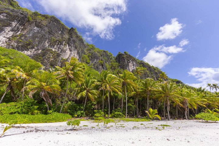 Palmenstrand auf Tuamato