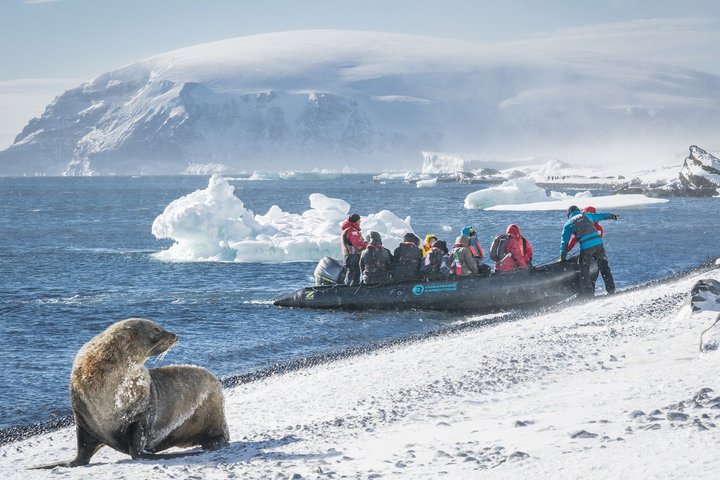 Pelzrobbe und Zodiac an einem Strand in der Antarktis