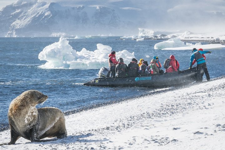 Pelzrobbe und Zodiac an einem Strand in der Antarktis