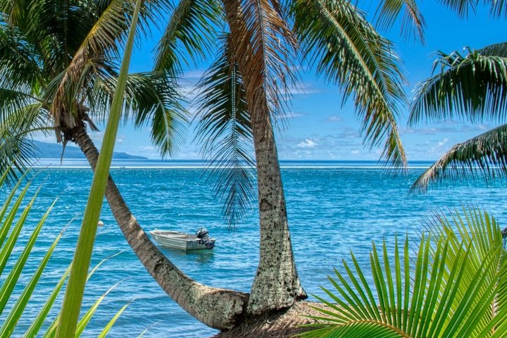 Strand und Palmen in der Südsee