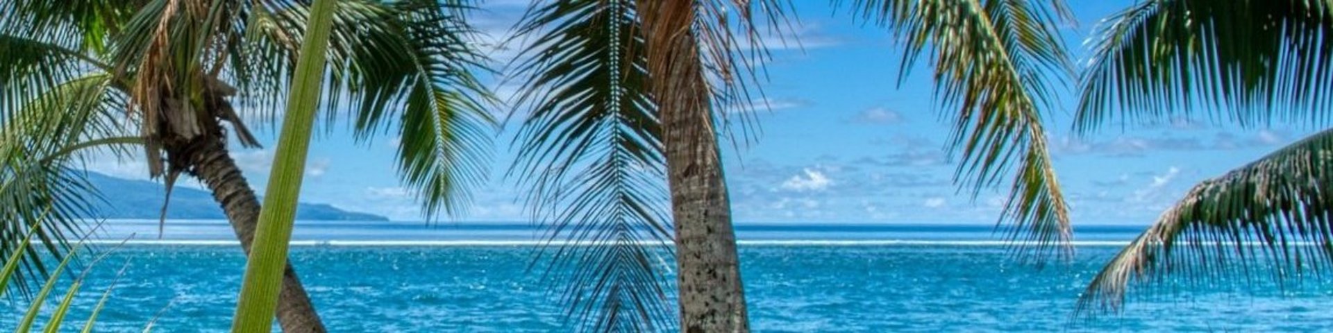 Strand und Palmen in der Südsee