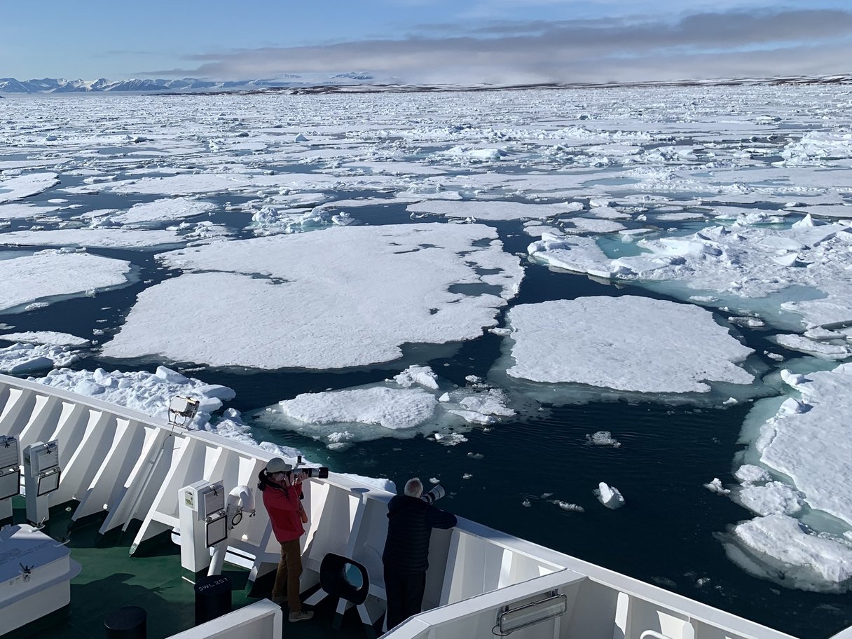 Auf Deck der Hondius Auf Deck der Hondius
