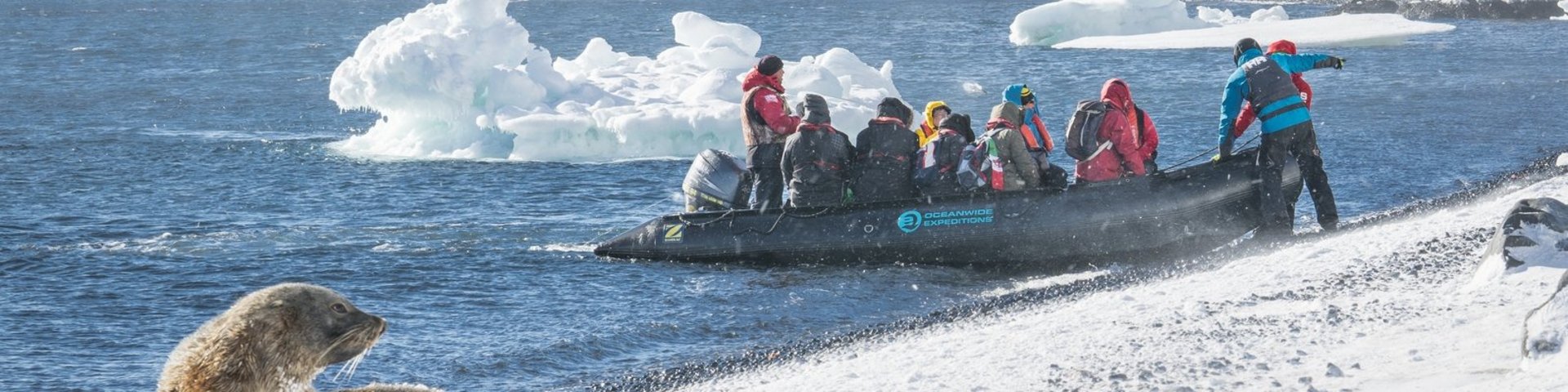 Zodiac-Anlandung mit Pelzrobbe die zuschaut