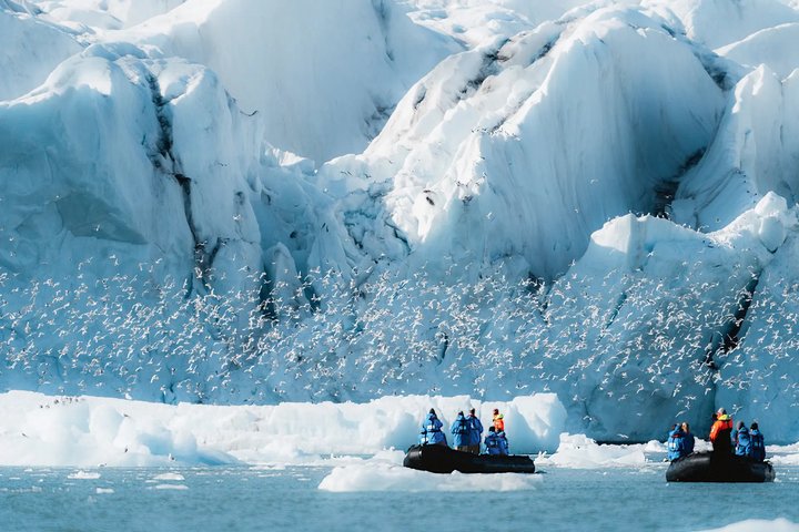 Seevögel vor einem Eisberg