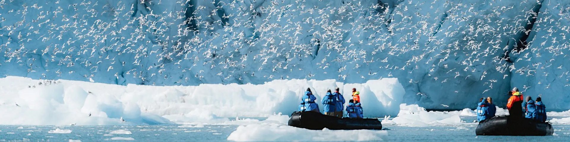 Seevögel vor einem Eisberg