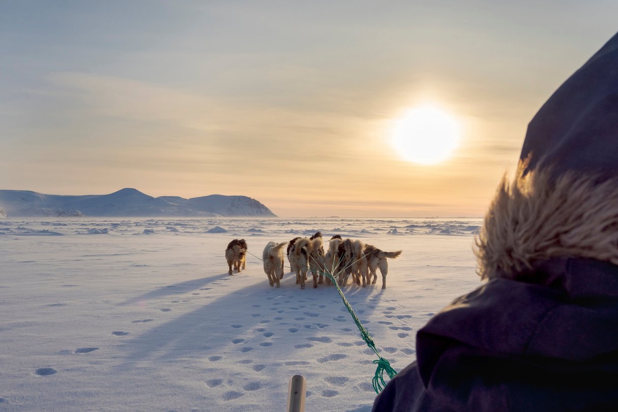 Inuit mit Hundeschlitten in Grönland Inuit mit Hundeschlitten in Grönland