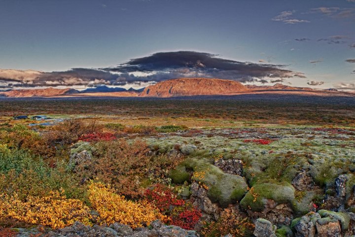 Tundralandschaft auf Island