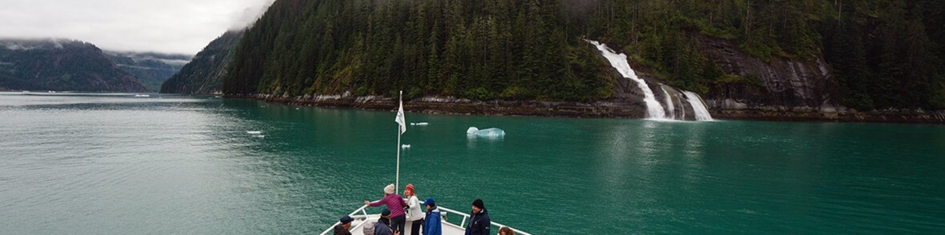 Schiffsbug mit Gästen in einer nebelverhangenen Bucht