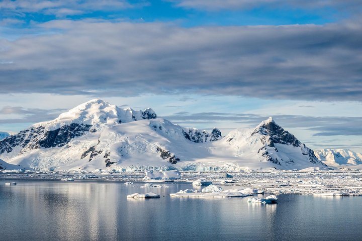 Cuverville Island in der Antarktis