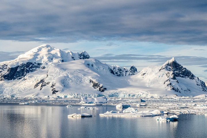Cuverville Island in der Antarktis