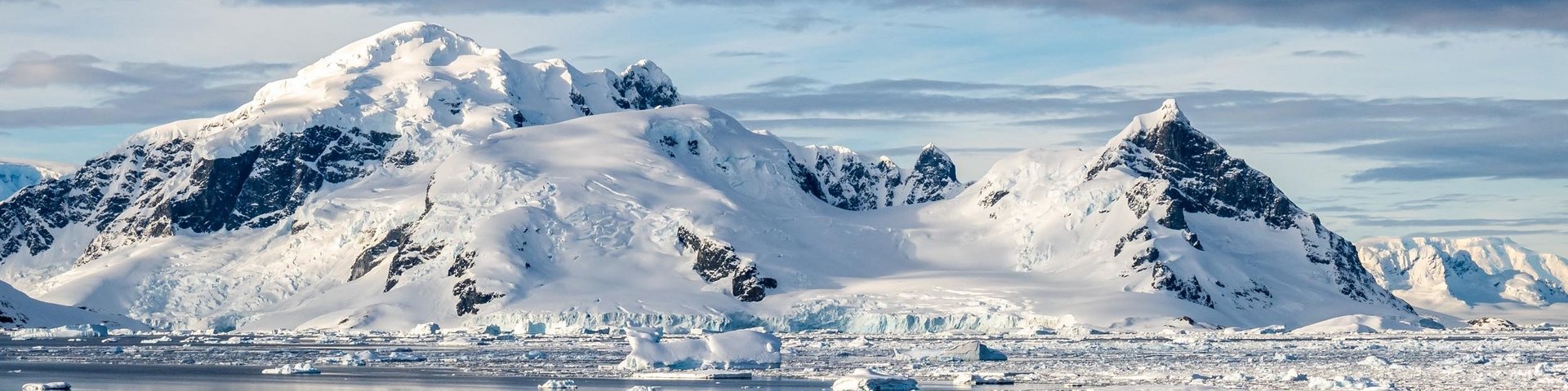 Cuverville Island in der Antarktis
