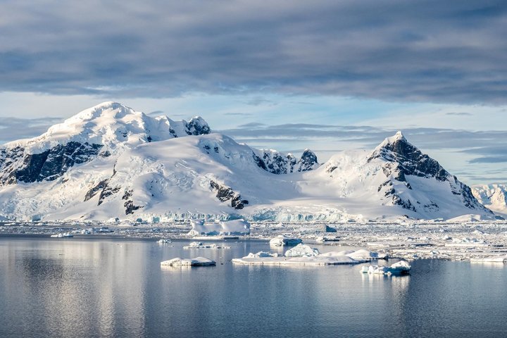 Cuverville Island in der Antarktis