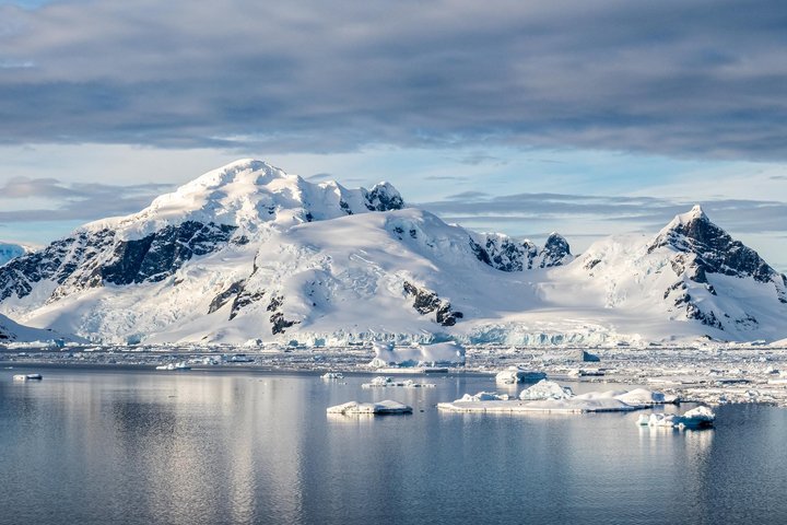 Cuverville Island in der Antarktis