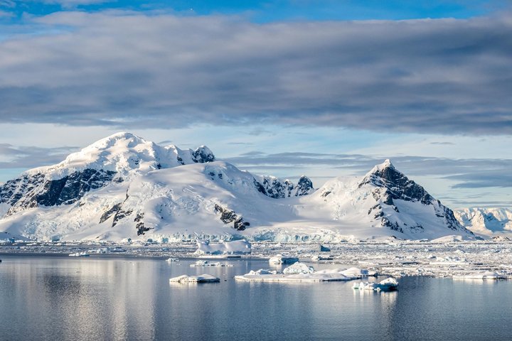 Cuverville Island in der Antarktis