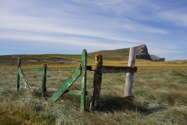 Landschaft auf New Island - Falkland Inseln