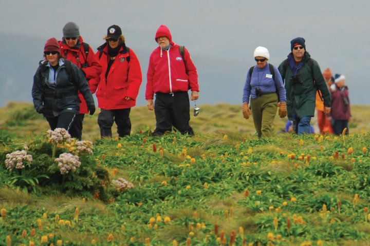 Wandern auf einer subantarktischen Insel vor Neuseeland