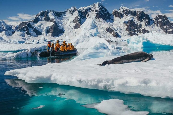 Robbe auf Eisscholle mit Zodiac Robbe auf Eisscholle mit Zodiac