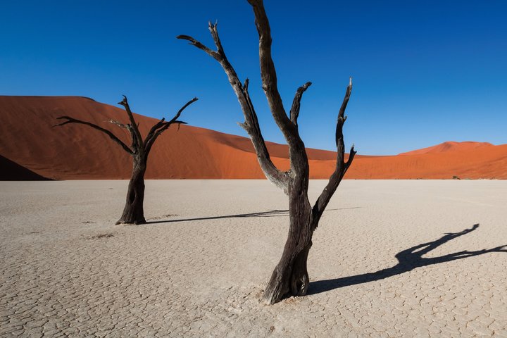 Deadvlei