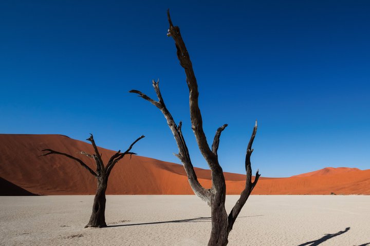 Deadvlei