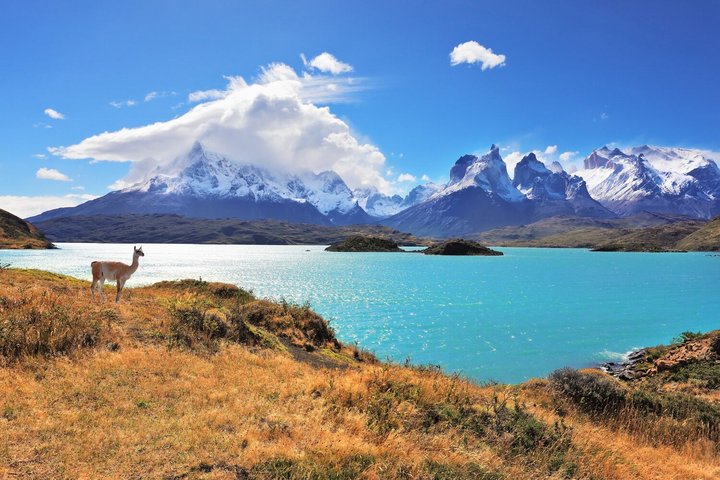 Vorprogramm Chile