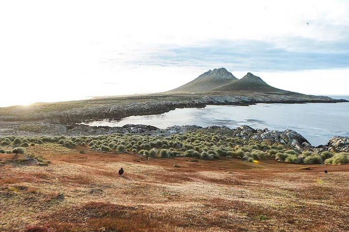 Landschaft in Südgeorgien