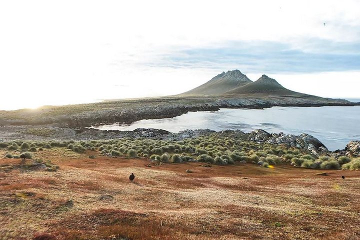 Landschaft in Südgeorgien