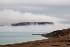 Nebelverhangene Bucht bei Beechey Island
