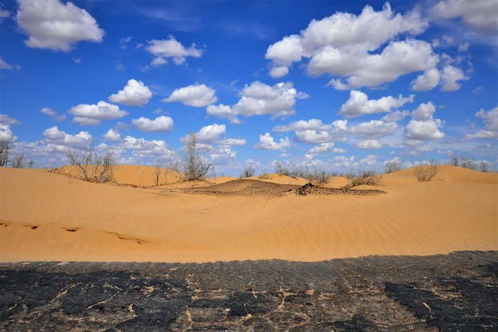 Wüste Kyzilkum