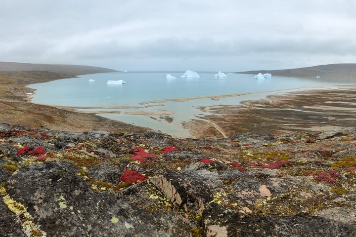 Charcot Havn | Foto: Raphael Sané