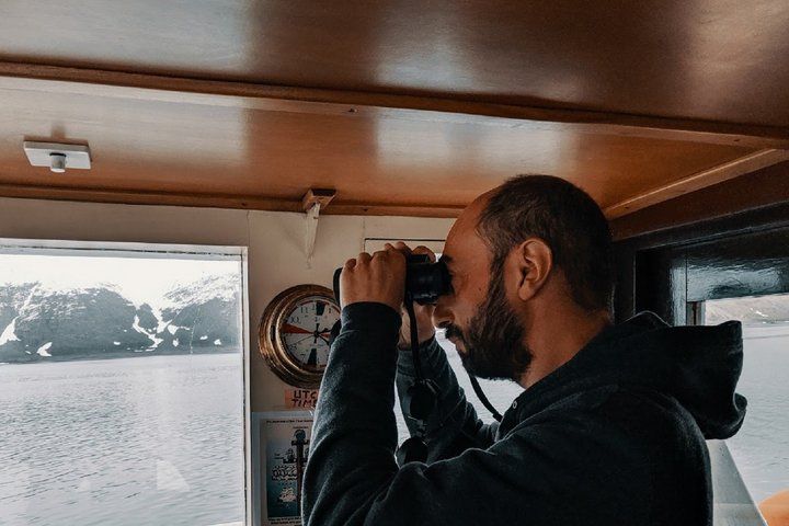 Togo_Bruecke_Eisbaer_suchen Togo_Bruecke_Eisbaer_suchen