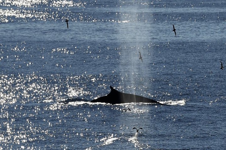 ©StudiPONANT/Nathalie Michel