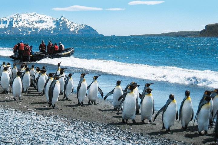 Landgang in der Antarktis