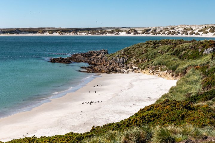 Stanley auf den Falklandinseln