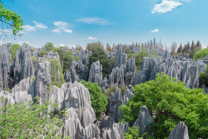 Steinwald Kunming