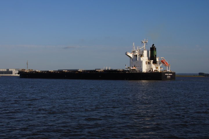 Massengutfrachter auf der Elbe