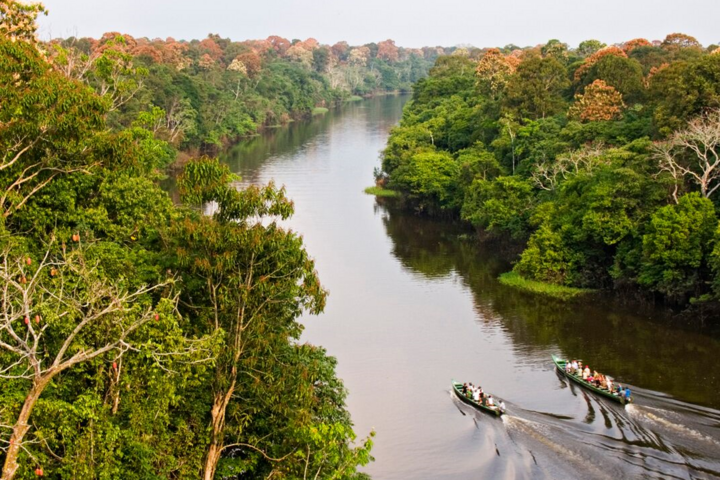 Amazonas Becken