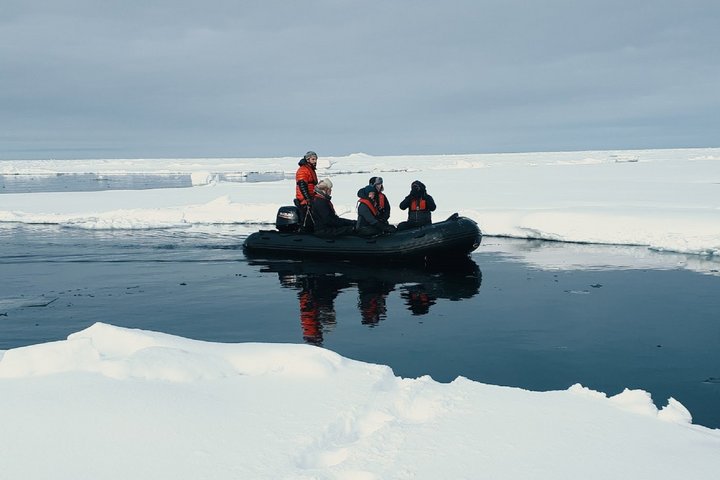 Per Zodiac die Natur entdecken