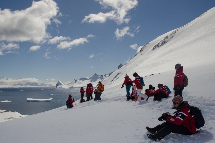 Cuverville Island auf der Antarktischen Halbinsel