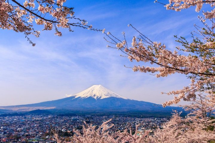 Mount Fiji in Japan mit Kirschblüten