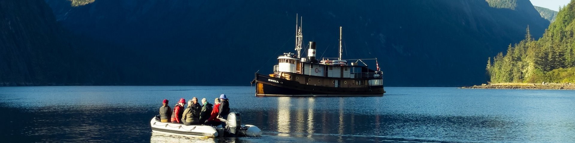 Die «Swell» im Great Bear Rainforest Die «Swell» im Great Rain Forest