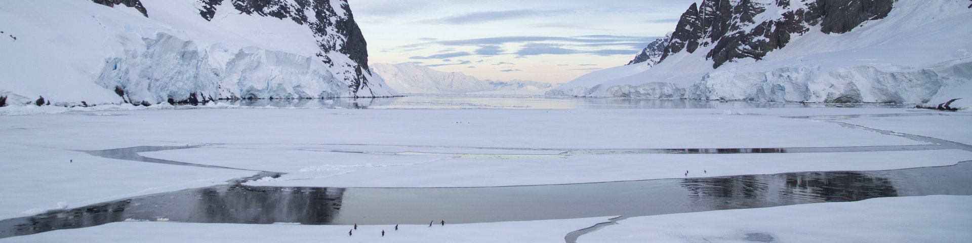 Fjord mit Packeis in der Antarktis Fjord mit Packeis in der Antarktis