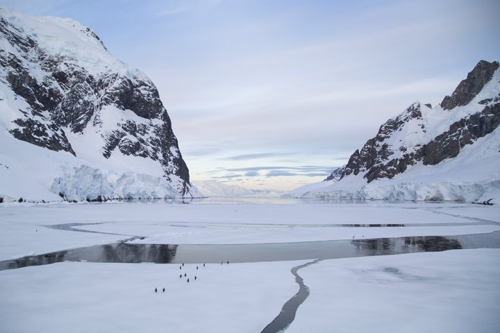 Eisbedeckter Fjord mit einigen Pinguinen auf dem Eis